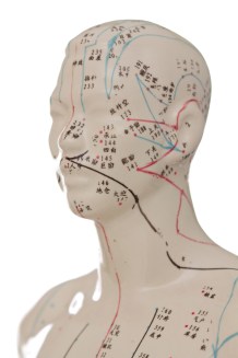 Acupuncture Head