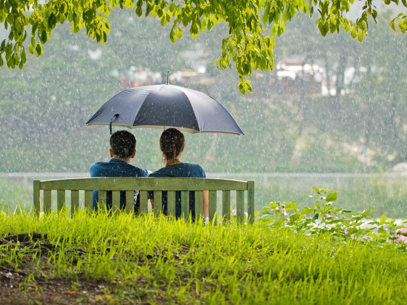 15048146 - a couple on a bench under umbrella