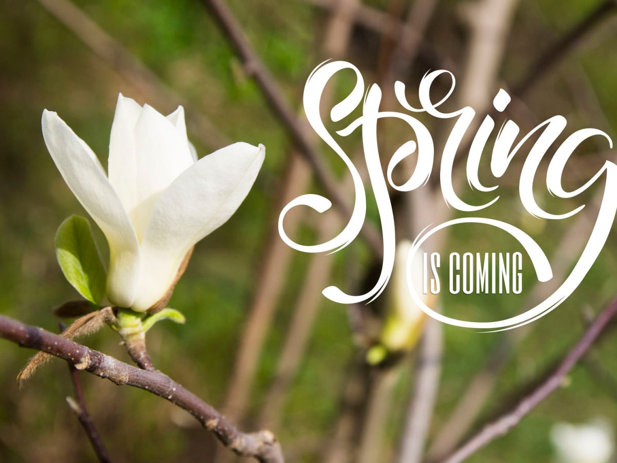 Ayurvedic Guidelines for Spring (and how to beat those&nbsp;allergies)