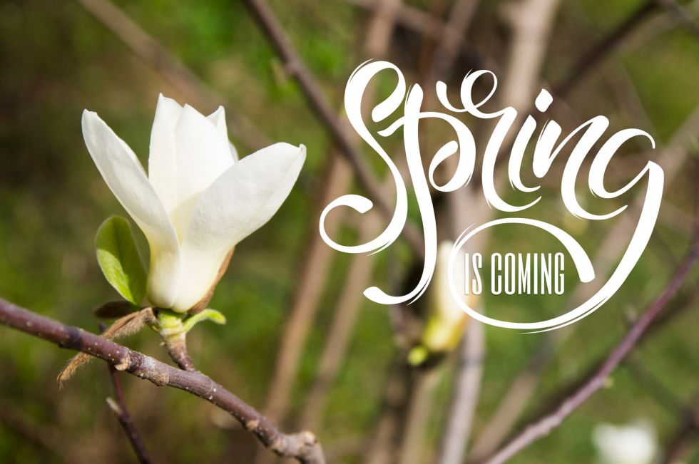 spring is coming